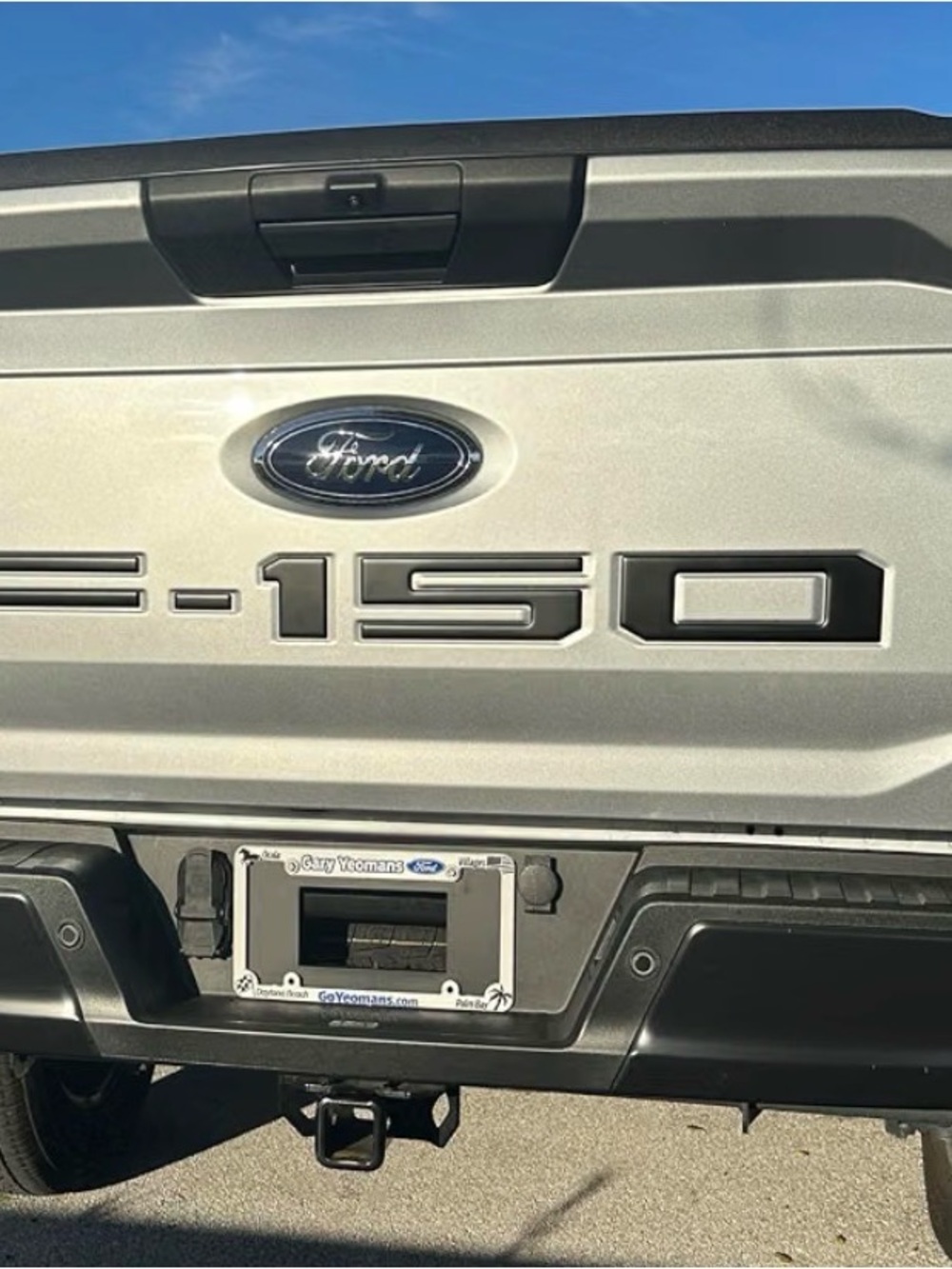 F-150 Tailgate Emblem Letter Inserts - Compatible with 2021-2026 F-150.